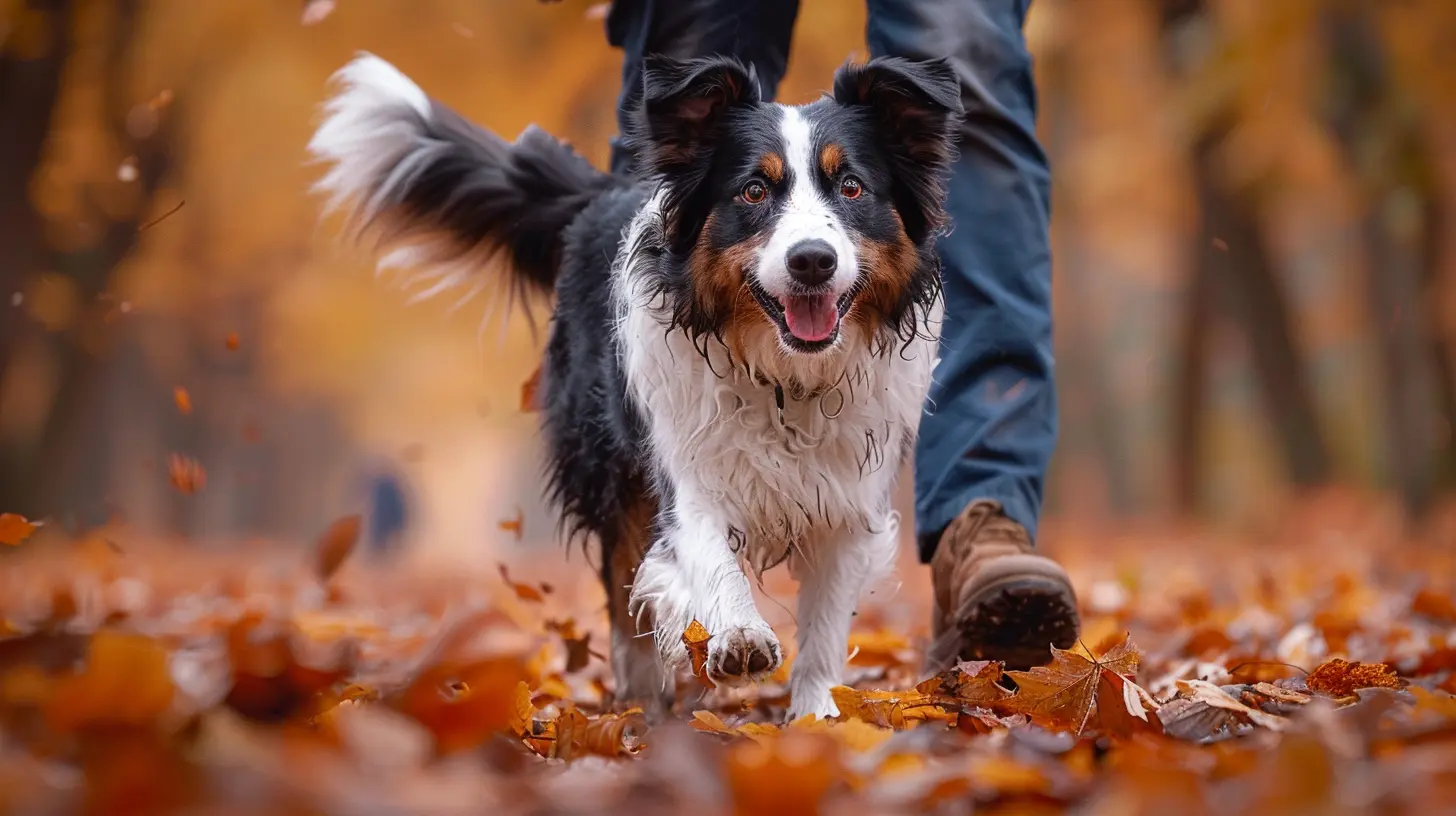 Rückwärtsniesen Hund Hört Nicht Auf chaoshund.de