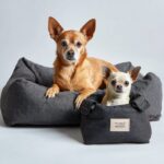 Hundekomfort und Sicherheit: Die wichtigsten Faktoren für das Wohlbefinden deines Vierbeiners